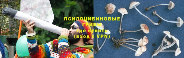 молекула духа Алзамай