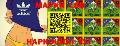 сатива Краснодар