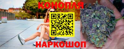 сатива Краснодар