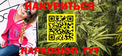 сатива Краснодар