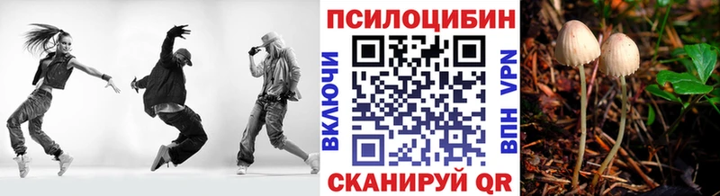 купить закладку  Чебоксары  Галлюциногенные грибы мухоморы 