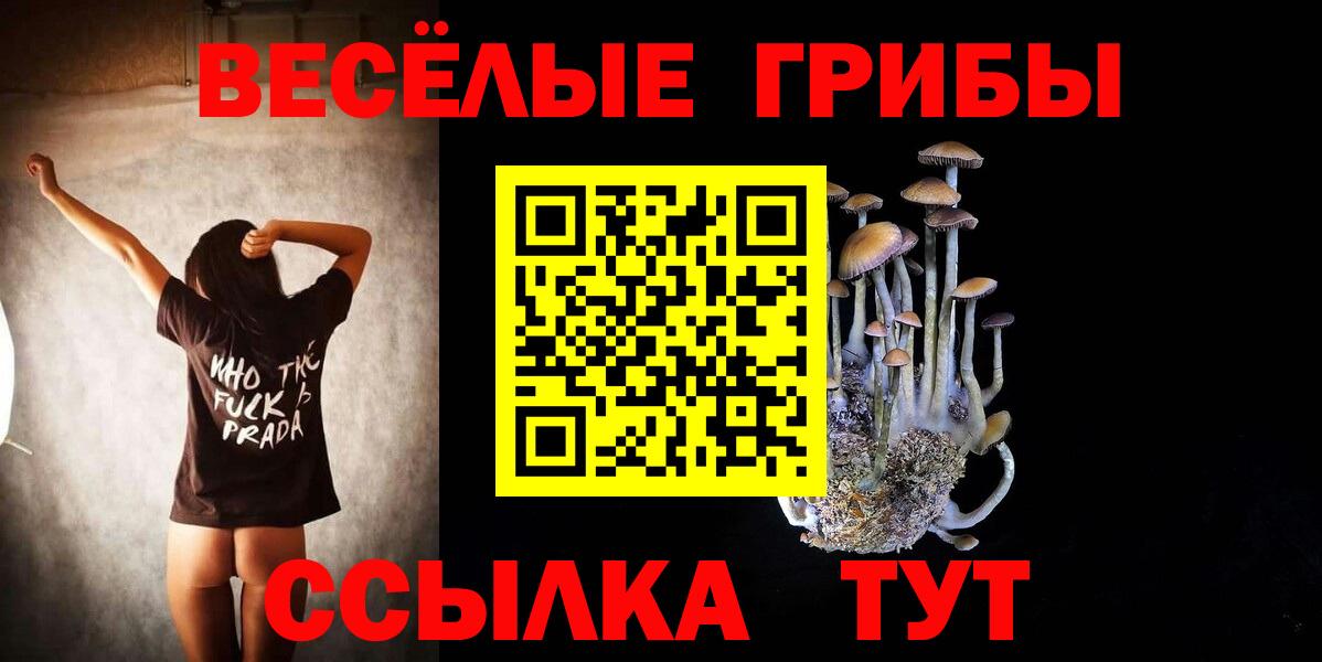 Чебоксары  Псилоцибиновые грибы Psilocybine cubensis  Вход с VPN  Псилоцибиновые грибы Cubensis 