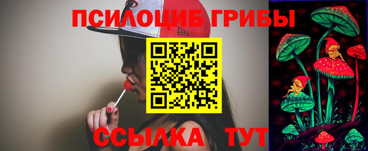 Псилоцибиновые грибы Psilocybe Чебоксары